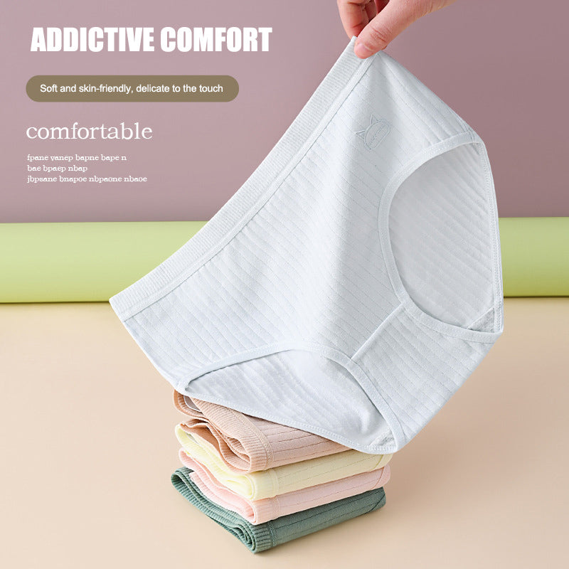 [7 artículos] 50% de descuento: Ropa interior impermeable y antibacteriana de talle alto